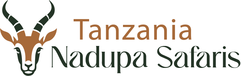 tanzania nadupa logo 2